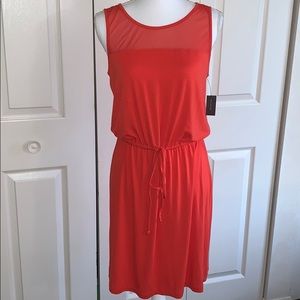 The Limited Dress NWT